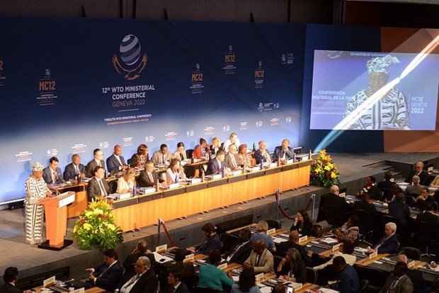 Việt Nam tham dự Hội nghị Bộ trưởng WTO lần thứ 12 tại Geneva