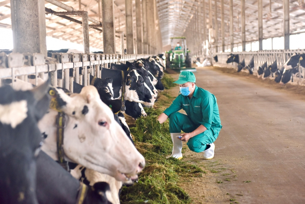 Mô hình phát triển bền vững “Vinamilk Green Farm” được chia sẻ tại Hội nghị sữa toàn cầu