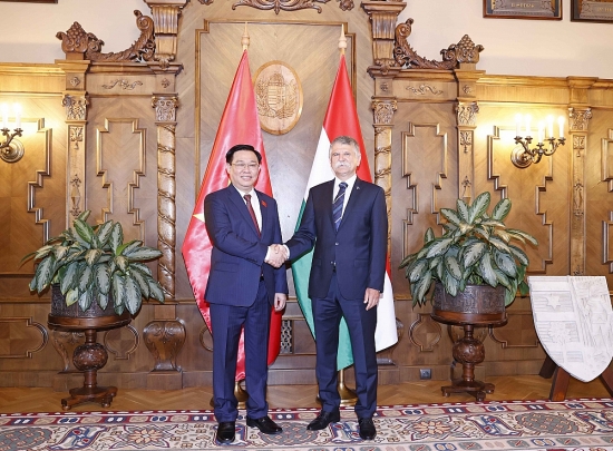 Chủ tịch Quốc hội Hungary đón, hội đàm với Chủ tịch Quốc hội Vương Đình Huệ