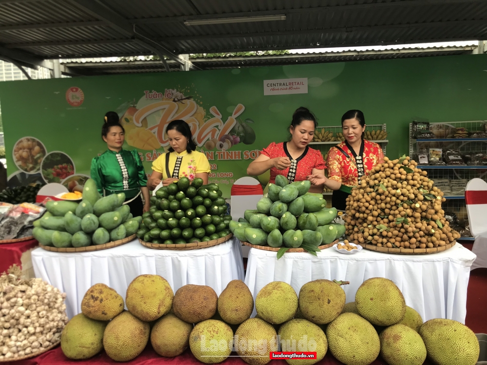 Tuần lễ Xoài và nông sản an toàn tỉnh Sơn La 2022 tại Hà Nội