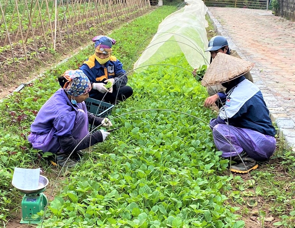 Hỗ trợ doanh nghiệp nữ Hà Nội tiếp cận chính sách phục hồi kinh tế