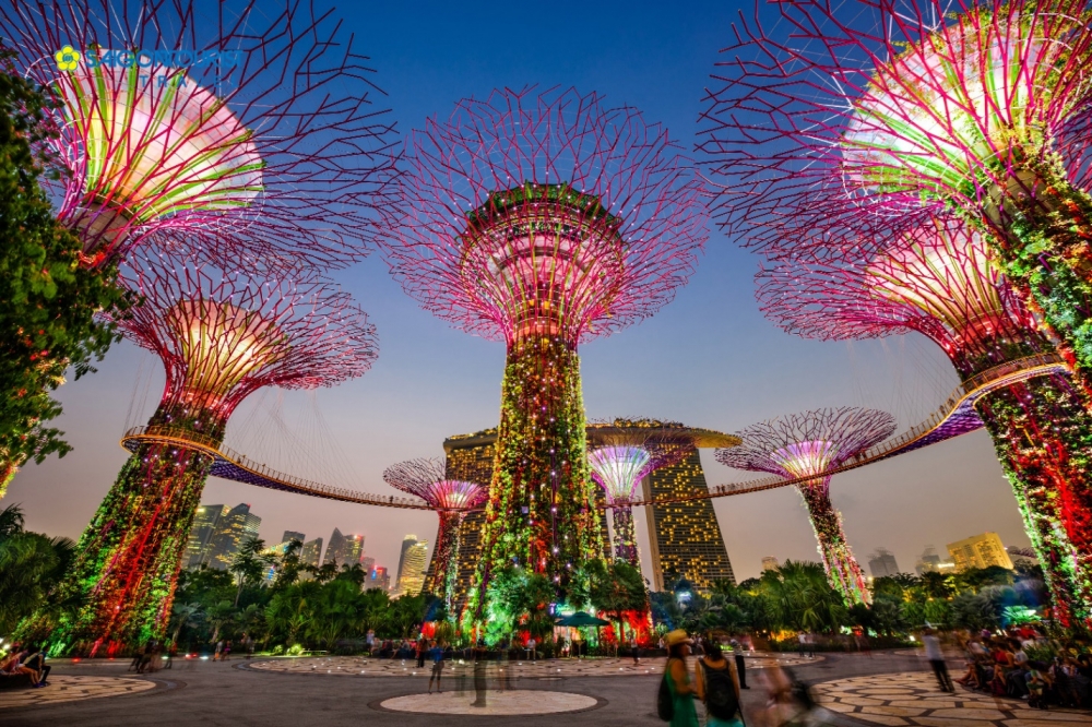 Bí kíp vi vu Singapore mà có thể travel blogger cũng chưa biết