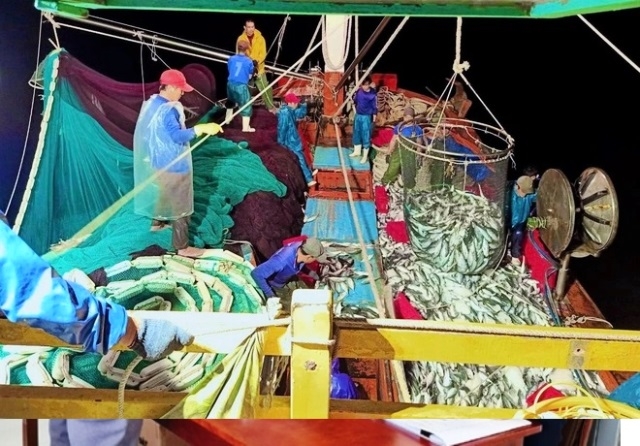 Ngư dân trúng đậm mẻ cá, thu về 2,4 tỷ đồng là “Nông dân Việt Nam xuất sắc 2022”