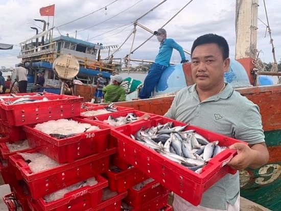 Ngư dân trúng đậm mẻ cá, thu về 2,4 tỷ đồng là “Nông dân Việt Nam xuất sắc 2022”