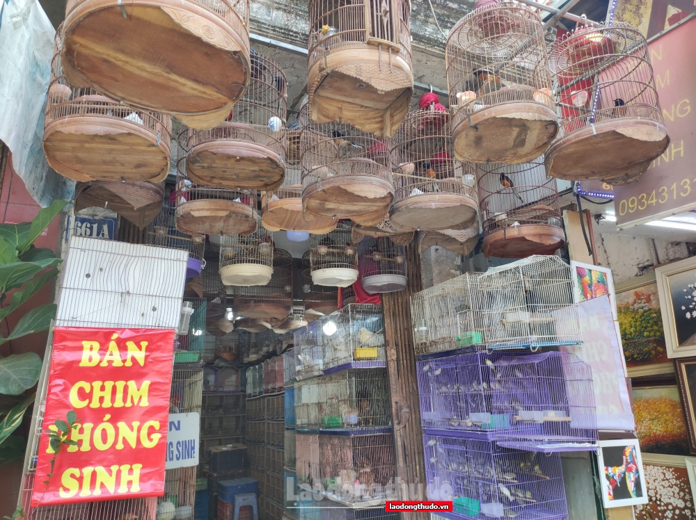 Chợ chim phóng sinh đắt hàng dịp Rằm tháng Bảy