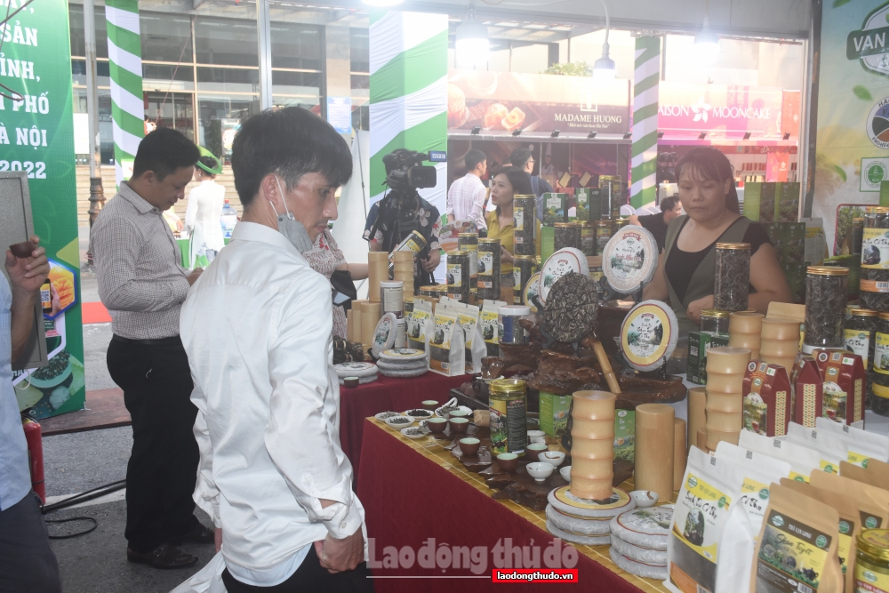 Khai mạc Tuần hàng quảng bá, giới thiệu sản phẩm OCOP, trái cây, nông sản tại Hà Nội