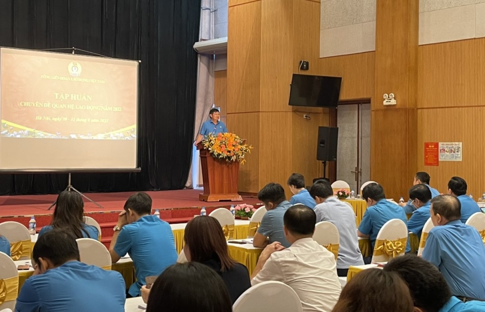Tổng Liên đoàn Lao động Việt Nam tập huấn chuyên đề về quan hệ lao động