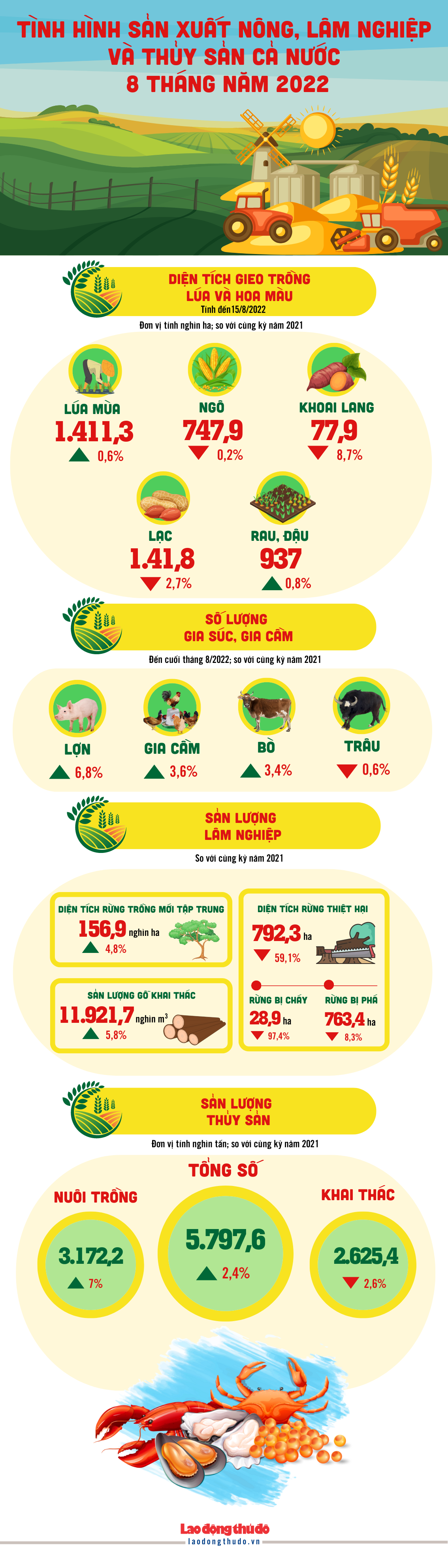 [Infographic] Tình hình sản xuất nông, lâm nghiệp và thủy sản cả nước 8 tháng năm 2022