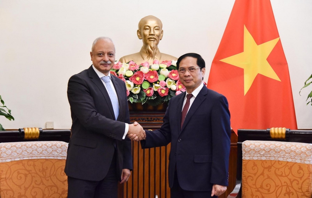Thắt chặt quan hệ hữu nghị truyền thống Việt Nam - Ai Cập