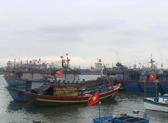 Quảng Bình: Hơn 20 nghìn lao động trên biển đã vào tránh, trú bão Naru an toàn