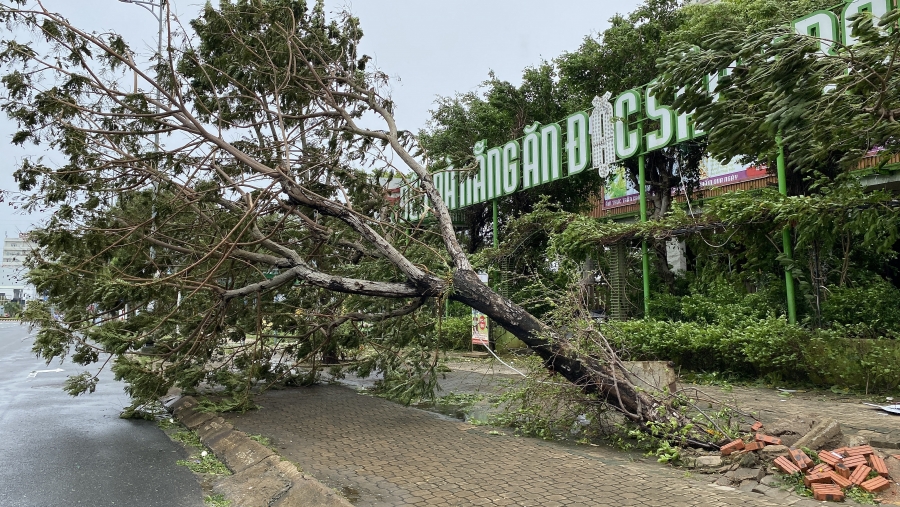Đà Nẵng: Những hình ảnh ban đầu thiệt hại do bão số 4 gây ra