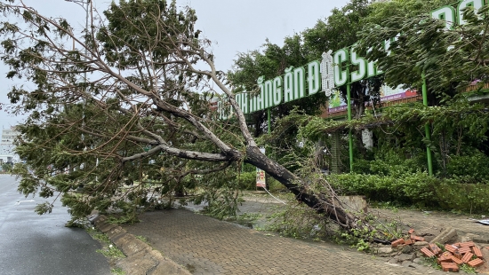 Đà Nẵng: Những hình ảnh thiệt hại ban đầu do bão số 4 gây ra
