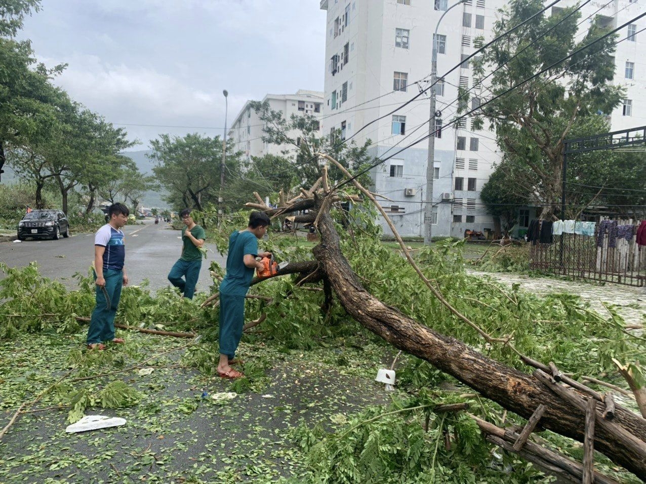 Đà Nẵng: Người dân và chính quyền dọn dẹp hậu quả bão số 4 để ổn định cuộc sống