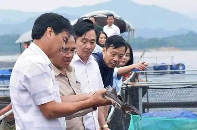 Hà Tĩnh: Nông dân mạnh dạn đưa cá tầm về nuôi tại vùng 