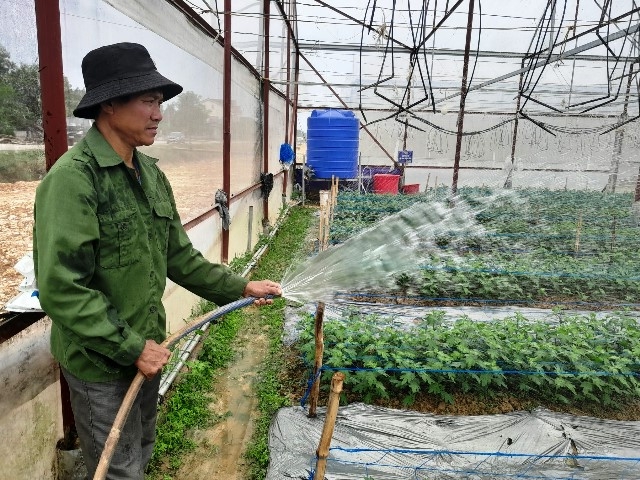 Hà Tĩnh: Làng hoa Bắc Sơn tất bật chuẩn bị cho thị trường Tết Nguyên đán