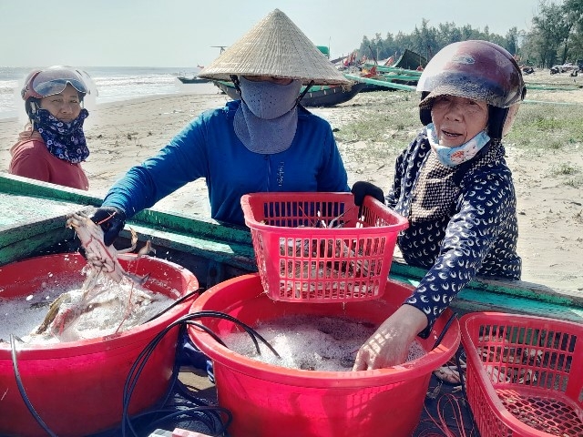 Hà Tĩnh: Đánh bắt gần bờ, ngư dân vùng bãi ngang trúng đậm hải sản