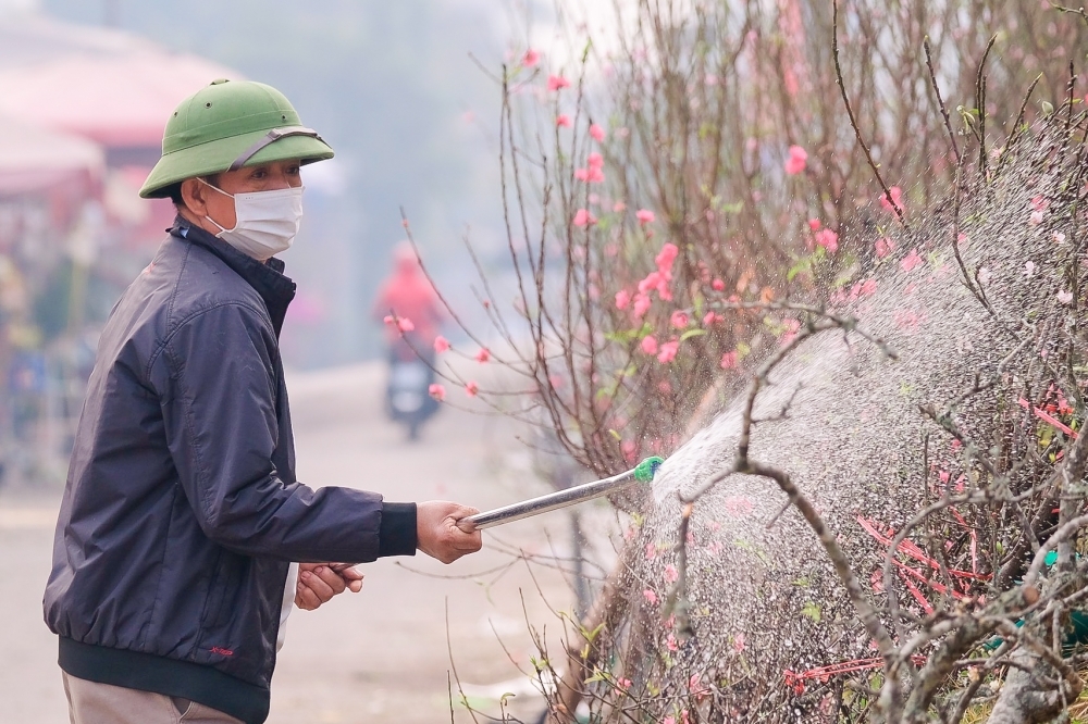 Lịch nghỉ Tết Nguyên đán Quý Mão 2023 kéo dài 7 ngày