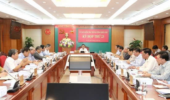 Ủy ban Kiểm tra Trung ương kết luận về vị phạm của tổ chức đảng, đảng viên tại các tỉnh Đồng Nai, Thanh Hoá, Nam Định và Bình Dương