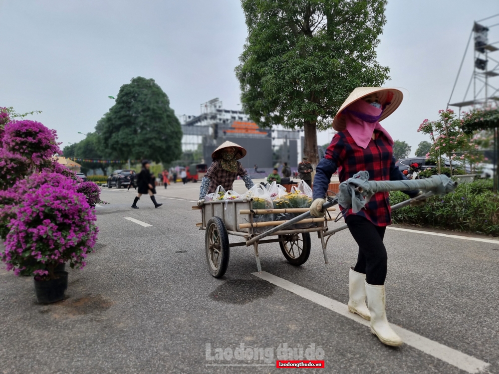 Huyện Mê Linh sẵn sàng tổ chức Festival hoa đầu tiên