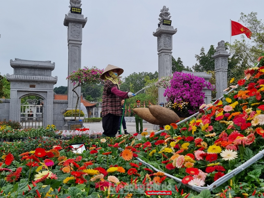 Huyện Mê Linh sẵn sàng tổ chức Festival hoa đầu tiên