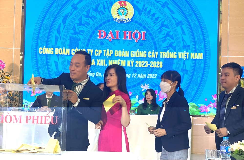 Chỉ đạo tổ chức thành công Đại hội Công đoàn Công ty CP Tập đoàn Giống cây trồng Việt Nam