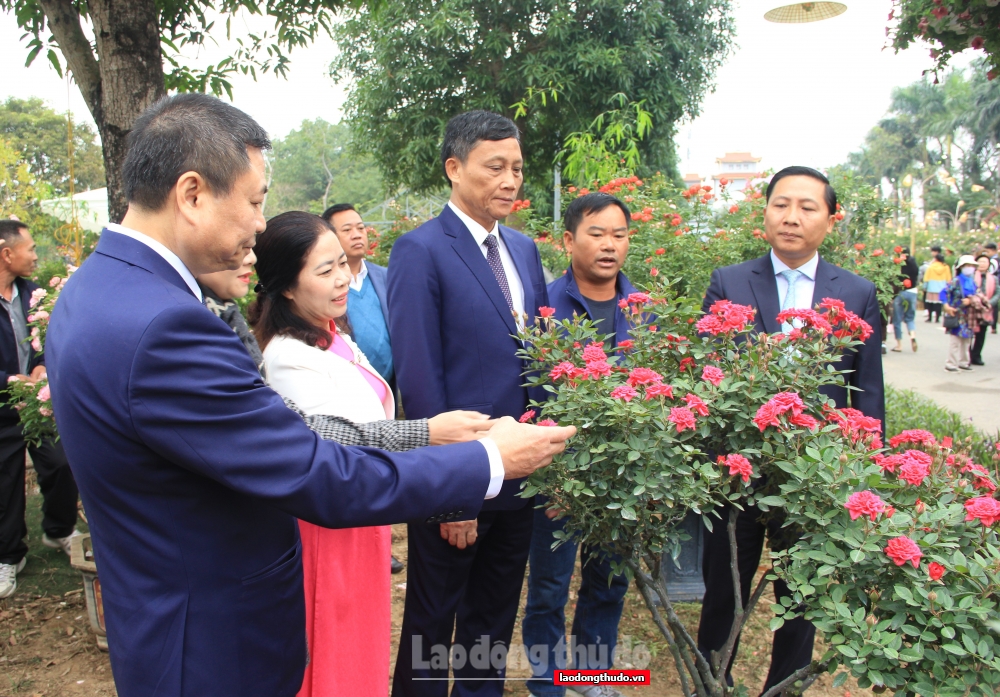 Huyện Mê Linh khai mạc Lễ hội hoa và Festival nông sản, sản phẩm OCOP năm 2022
