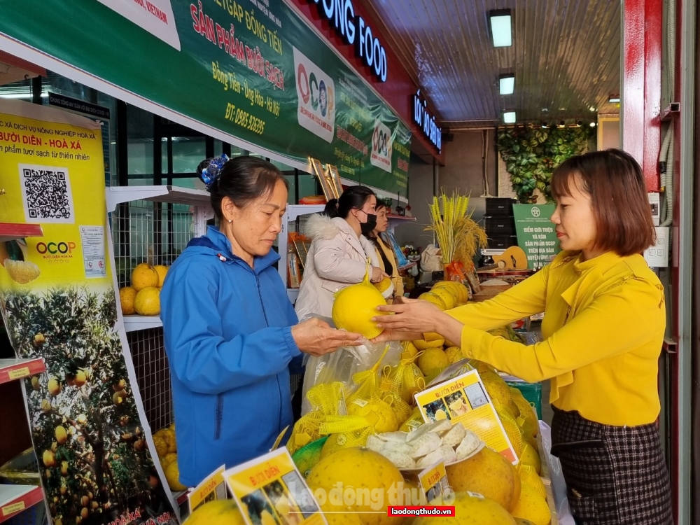 Hà Nội: Khai trương Điểm giới thiệu và bán sản phẩm OCOP tại huyện Ứng Hòa