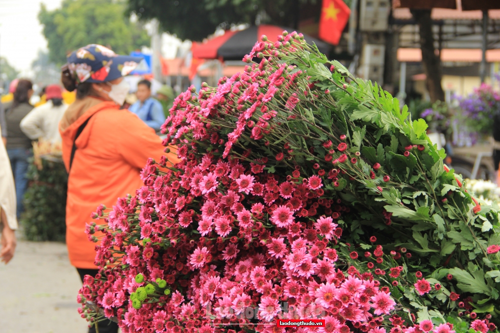 Chợ hoa Mê Linh nhộn nhịp trước thềm Tết Nguyên đán Quý Mão 2023