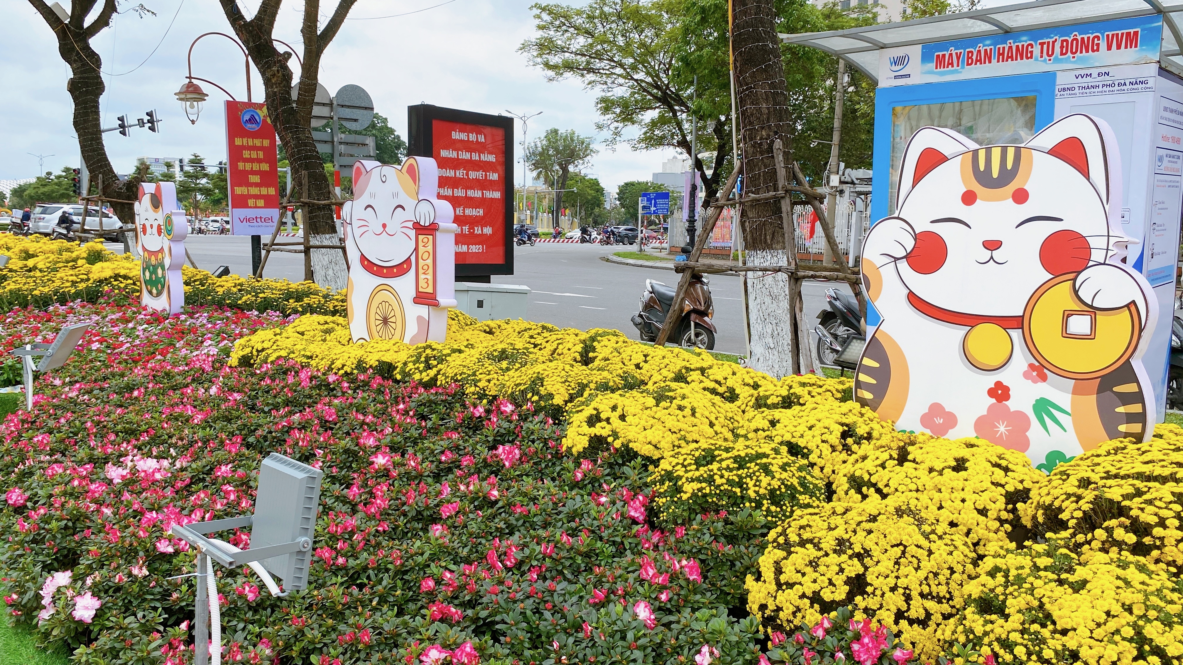 Đà Nẵng mở cửa đường hoa Tết, người dân đổ về vui chơi sớm