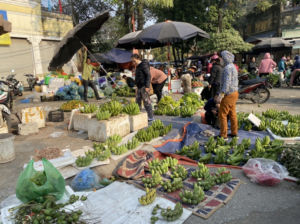 Ngày 30 Tết: Chợ đầu mối phía Nam Hà Nội tấp nập từ sáng sớm