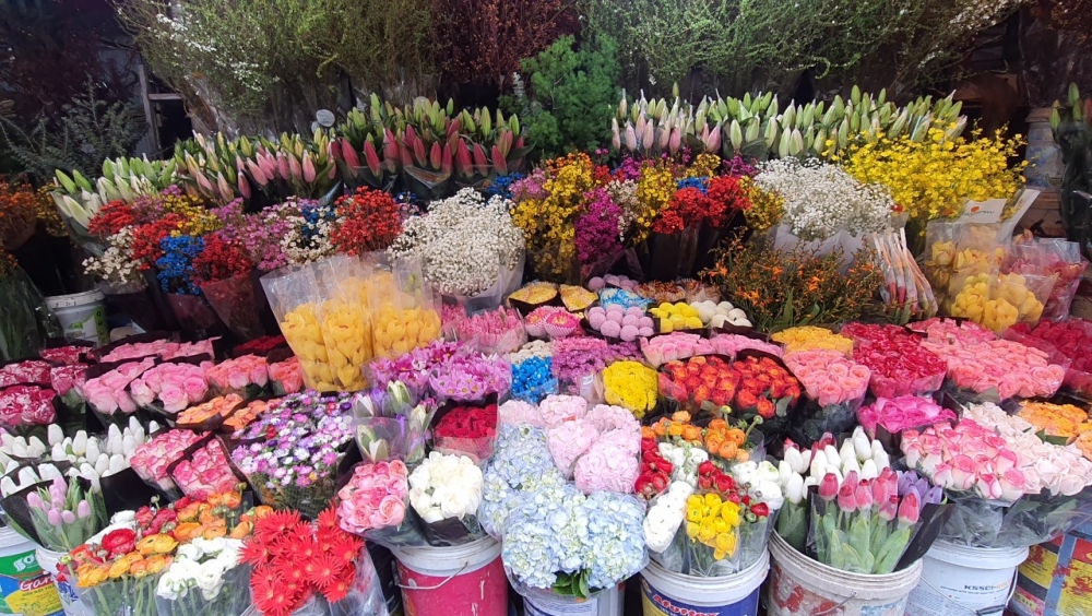 Lung linh sắc Xuân từ chợ hoa Quảng Bá