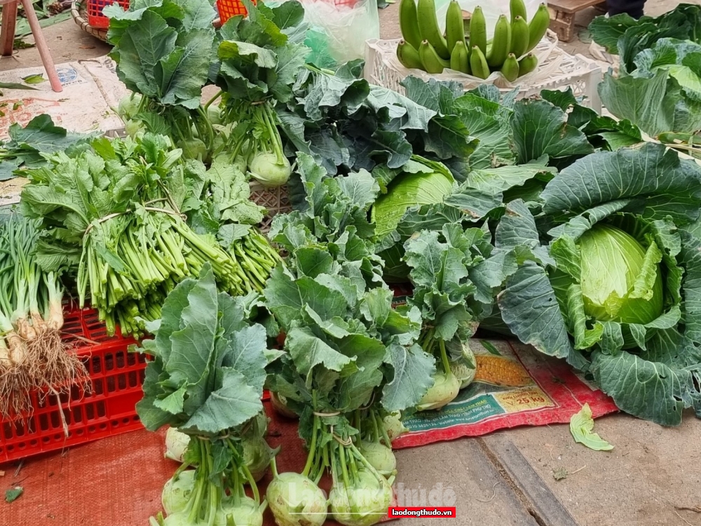 Hà Nội: Giá một số mặt hàng rau quả tăng nhẹ ngày đầu năm