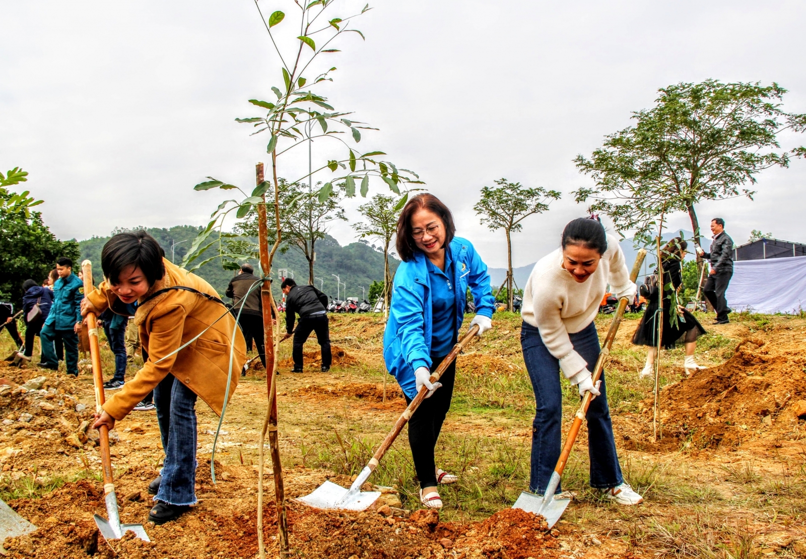 Công đoàn, Bộ đội biên phòng Đà Nẵng trồng 3.000 cây xanh hưởng ứng Tết trồng cây