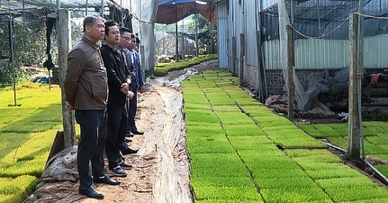 Lãnh đạo huyện Phú Xuyên kiểm tra tiến độ sản xuất vụ xuân 2023 tại một số xã
