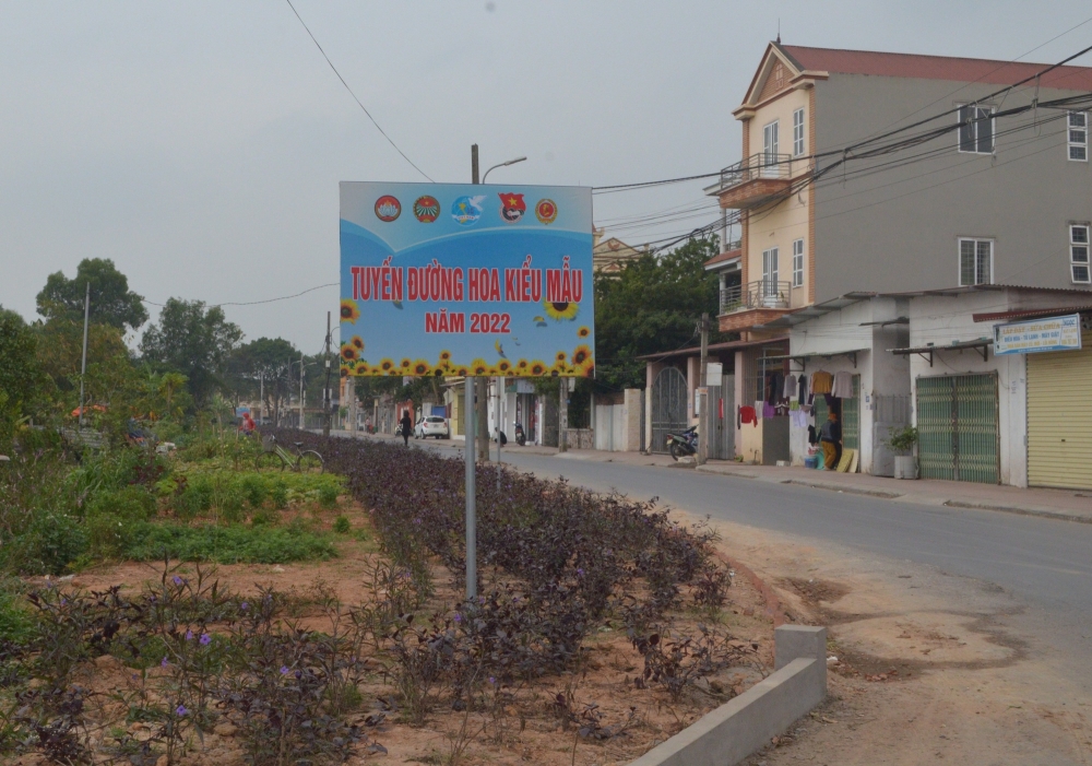 Thị trấn Quang Minh xây dựng đô thị văn minh từ các "Tuyến đường hoa kiểu mẫu"