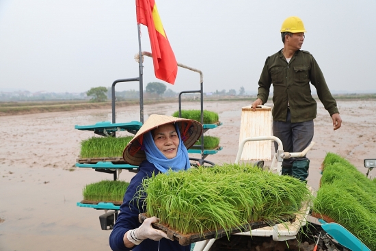 Nông dân huyện Mê Linh tích cực xuống đồng sản xuất đầu năm