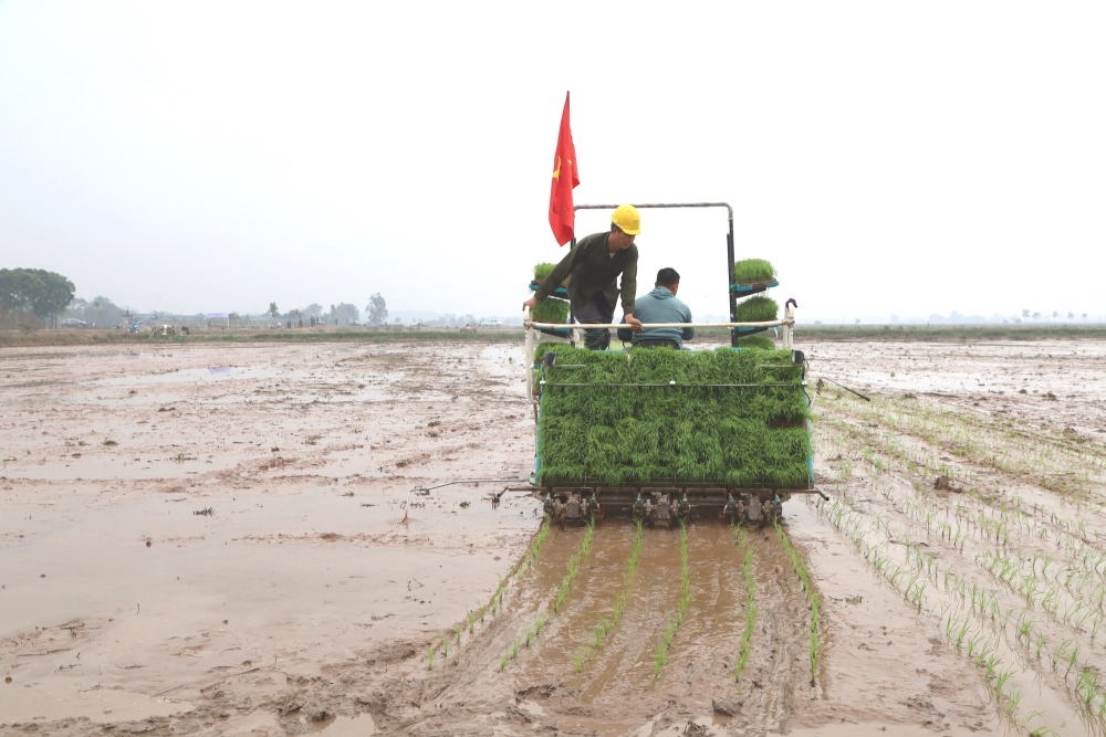 Nông dân huyện Mê Linh tích cực xuống đồng sản xuất đầu năm