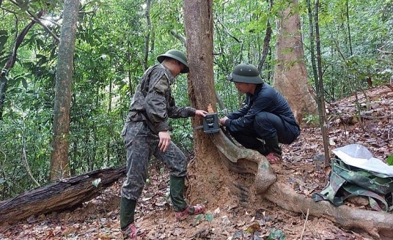 Vườn Quốc gia Vũ Quang (tỉnh Hà Tĩnh) lắp bẫy ảnh giám sát đa dạng sinh học