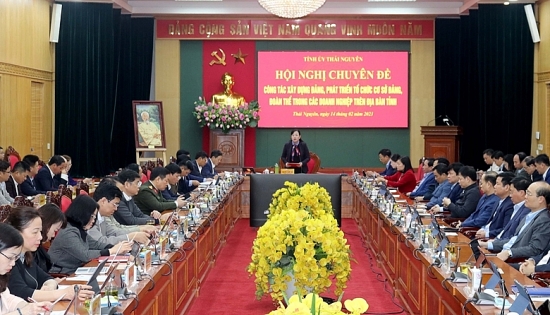 Thái Nguyên: Đẩy mạnh phát triển tổ chức cơ sở đảng trong doanh nghiệp