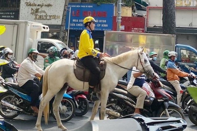 TP.HCM: Xử phạt người đàn ông cưỡi ngựa đi trên đường