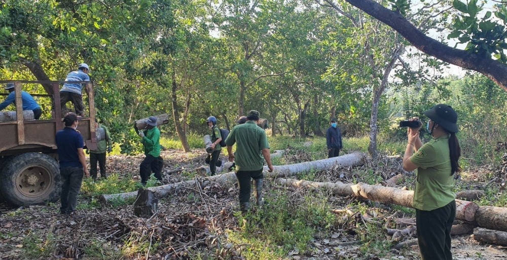 Khởi tố hình sự vụ phá rừng phòng hộ tại Đồng Nai