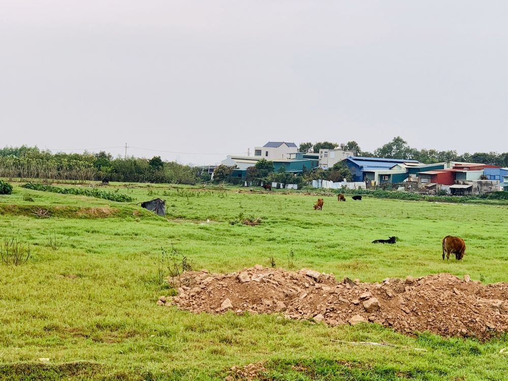 Xã Hiền Giang (huyện Thường Tín): Hoàn thành công tác giải phóng mặt bằng dự án đường Vành đai 4