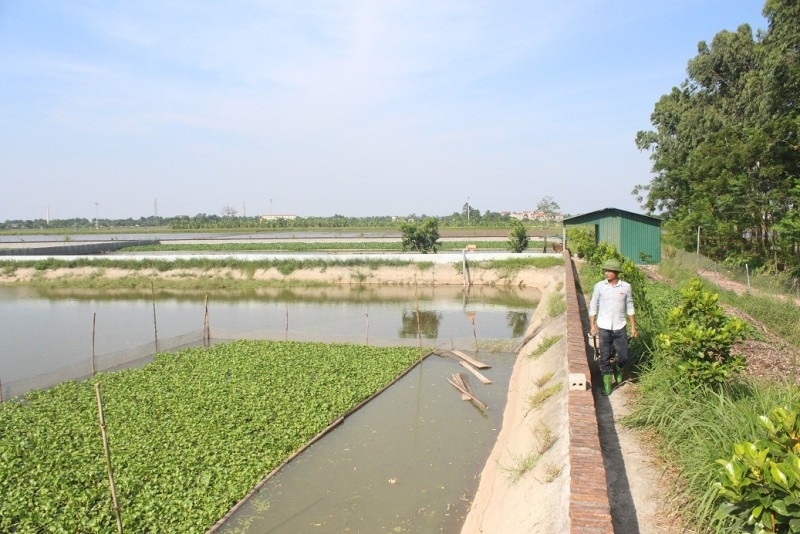Tăng cường kiểm tra công tác nuôi trồng và phòng chống dịch bệnh thủy sản