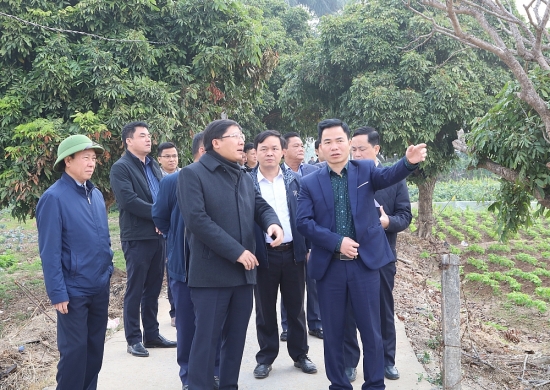 Huyện Mê Linh: Đẩy mạnh công tác tuyên truyền trong triển khai dự án đường Vành đai 4