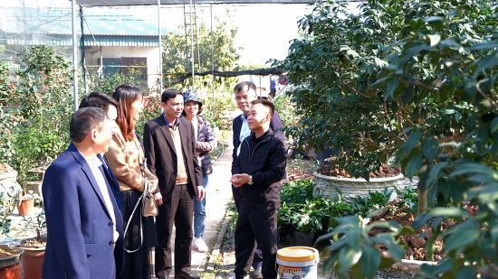 Hà Nội thẩm định 2 xã nông thôn mới nâng cao của huyện Mê Linh