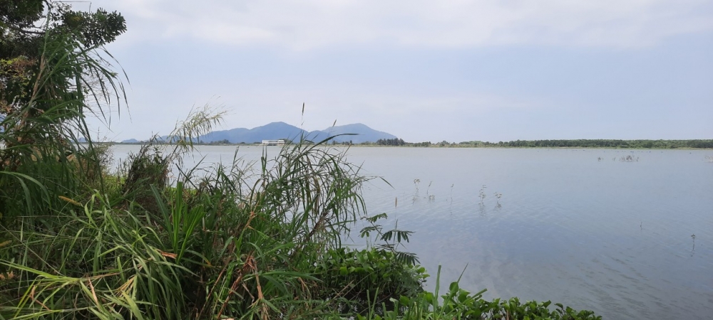 Huyện Châu Đức, Bà Rịa - Vũng Tàu: Tăng cường quản lý đất quy hoạch hồ thủy lợi