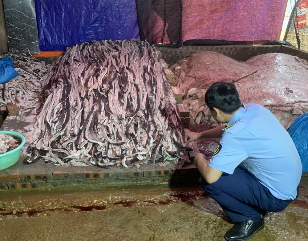 Hưng Yên: Phát hiện và xử lý 1,6 tấn da trâu tươi bốc mùi hôi thối
