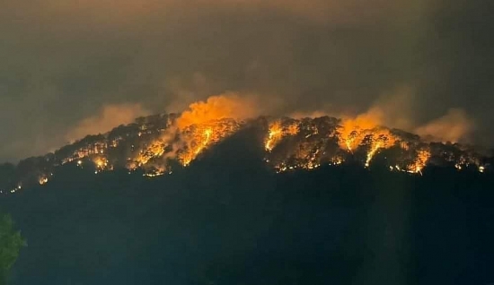 Lâm Đồng: Điều tra vụ cháy hơn 10ha rừng phòng hộ lớn trên đèo Prenn