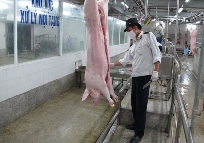 TP.HCM: Hỗ trợ doanh nghiệp đầu tư nhà máy giết mổ gia súc tập trung