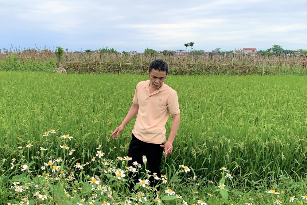 PAPI năm 2022: Thu hồi đất nông nghiệp ở nông thôn vẫn là vấn đề nổi cộm